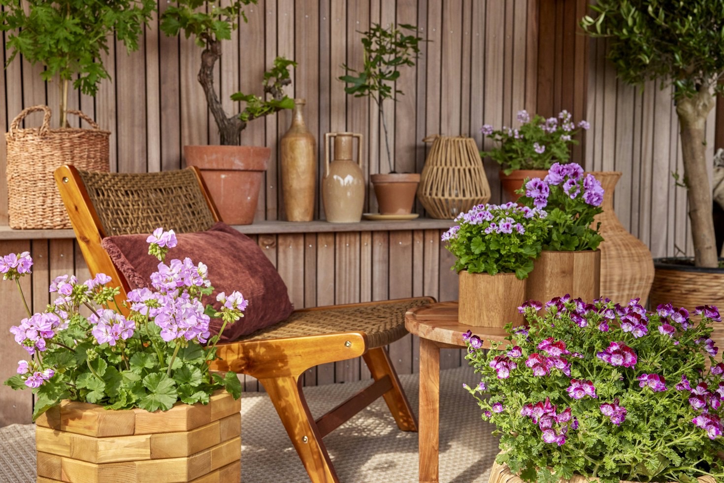 Die besten Balkonpflanzen für Anfänger ohne grünen Daumen