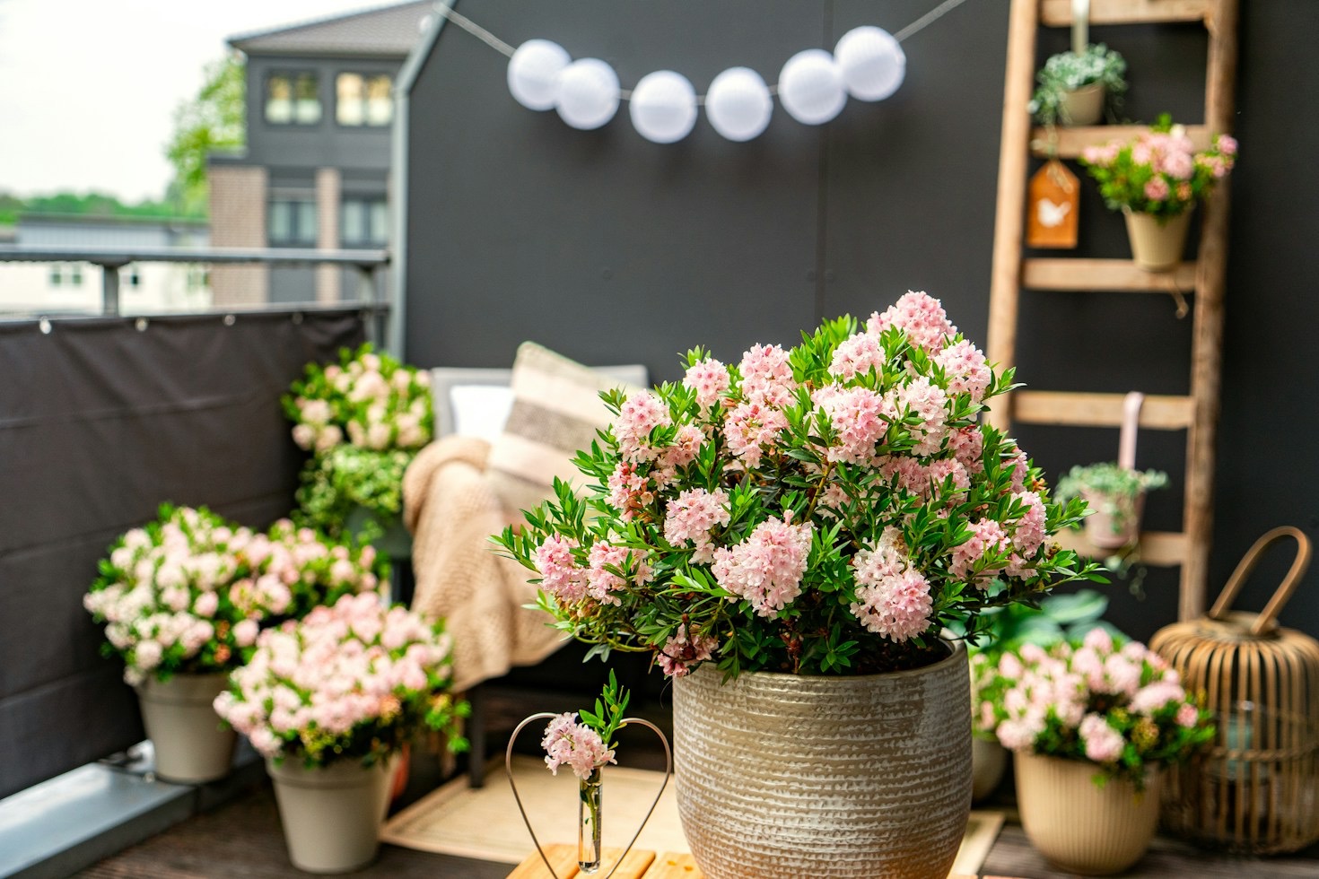 Frühlingserwachen: So startest Du perfekt in das neue Gartenjahr